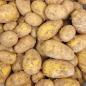 Preview: Kartoffeln Sorte: Simonetta